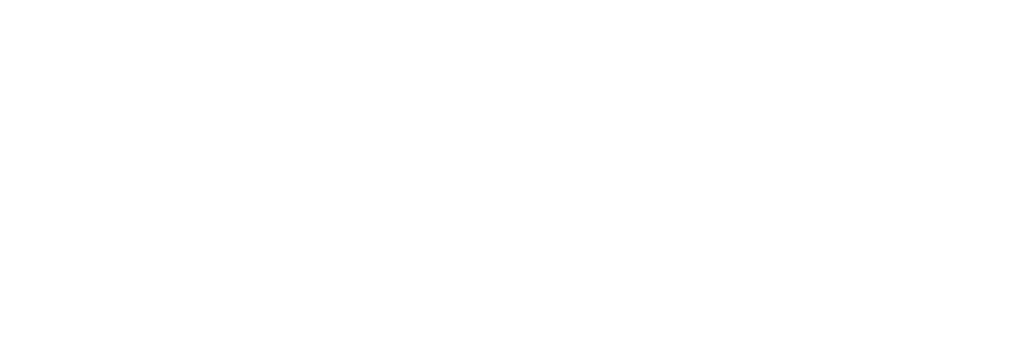 Schaerer